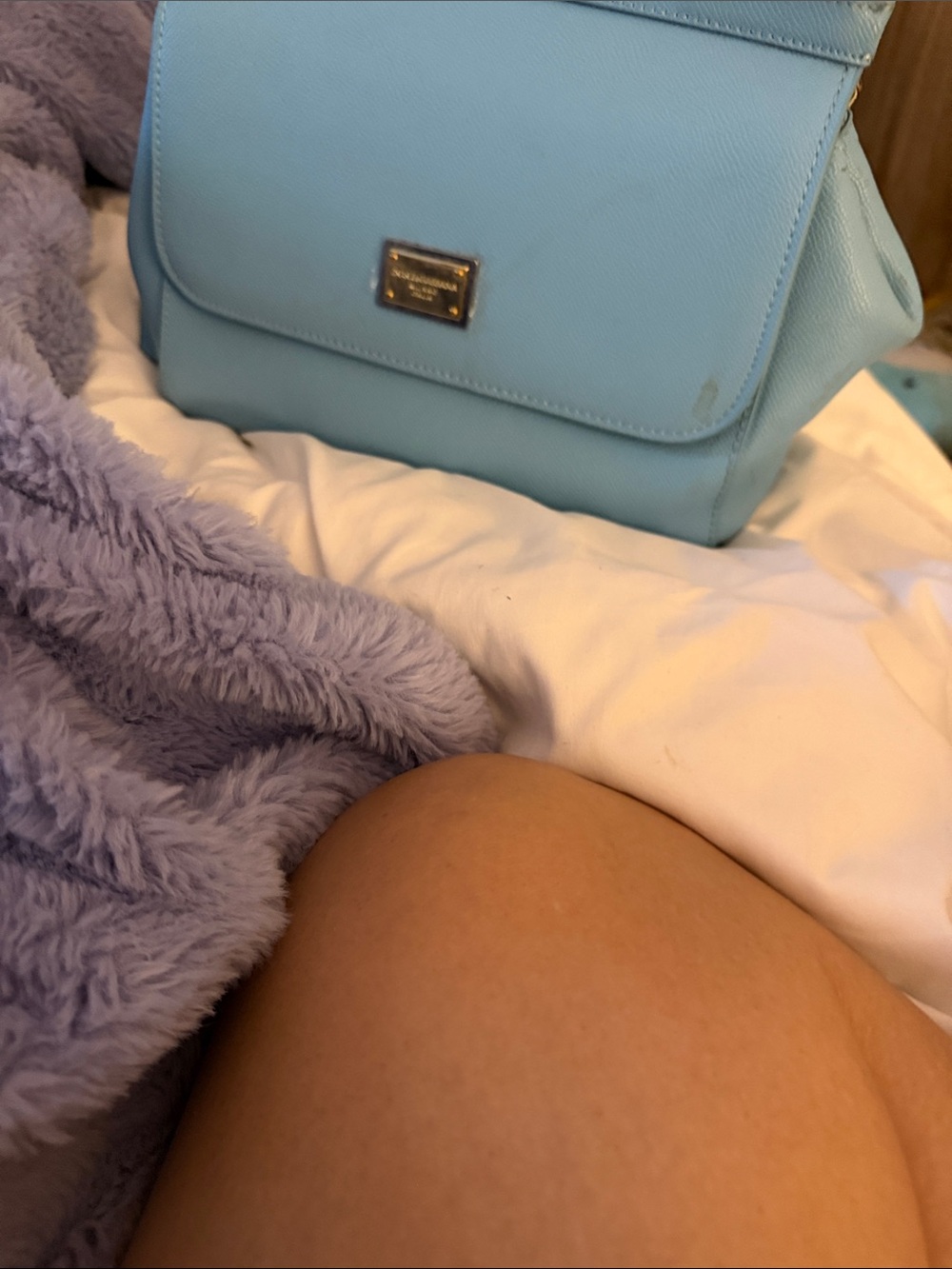 Dolce & Gabbana Light Blue Shoulder Bag with Gold Hardware - Picture 2 of 5